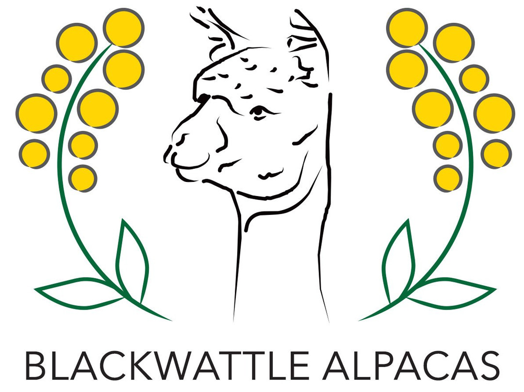 Blackwattle Alpaca Farm景点图片