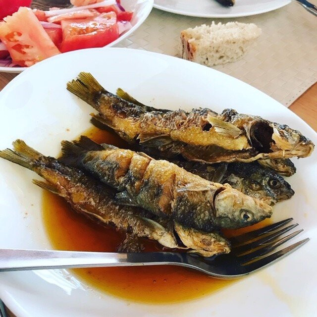 Taberna do Ze Relhas