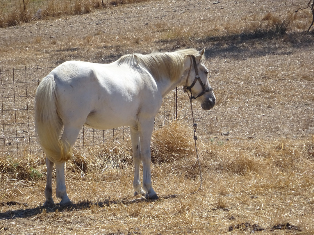 Tsimandria旅游攻略图片