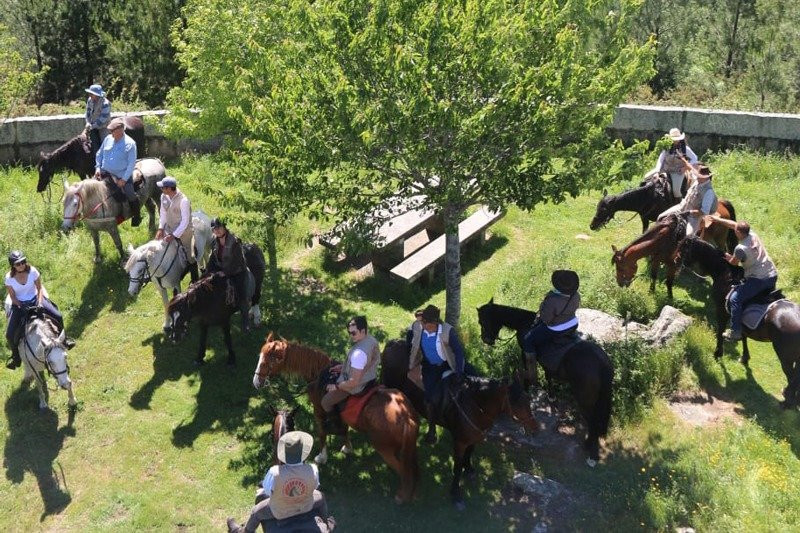 Xperience by Horse-Abadin必去景点