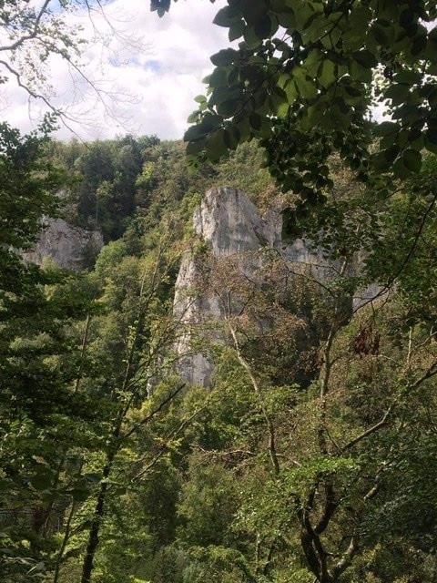 Naturpark Obere Donau景点图片