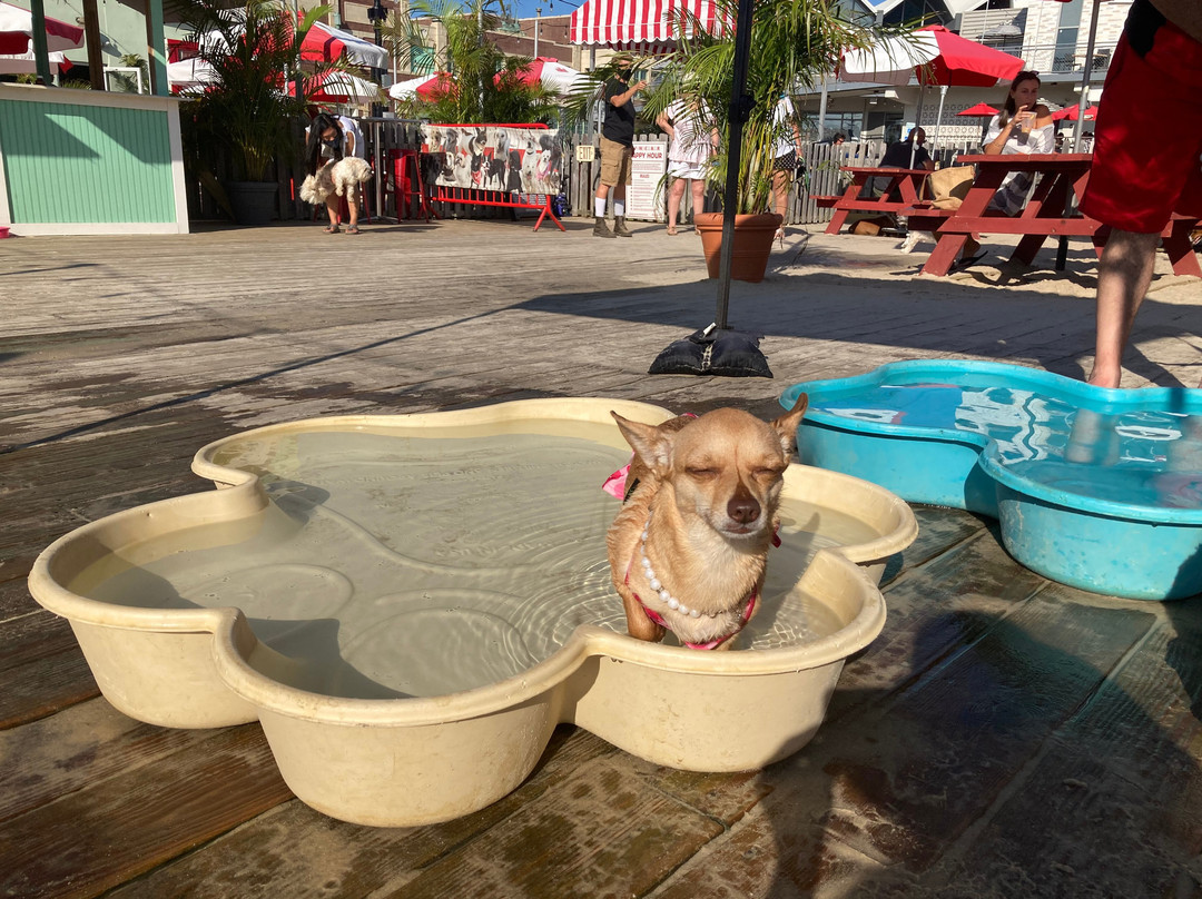 Wonder Bar-阿斯伯里帕克必去景点