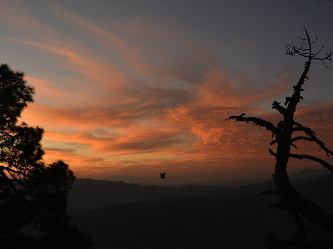 Mohan's Binsar Retreat主图