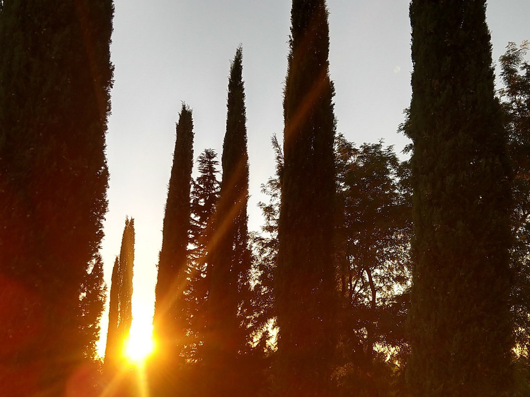 Fuoriporta Castello di Coiano主图