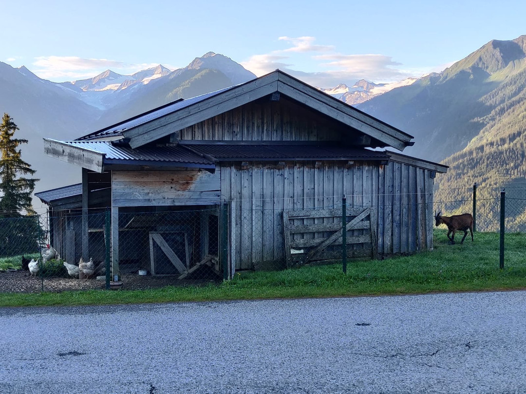 Pension Sonneck主图