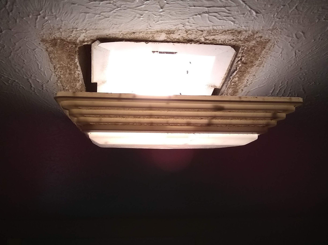 Plantation Motel主图