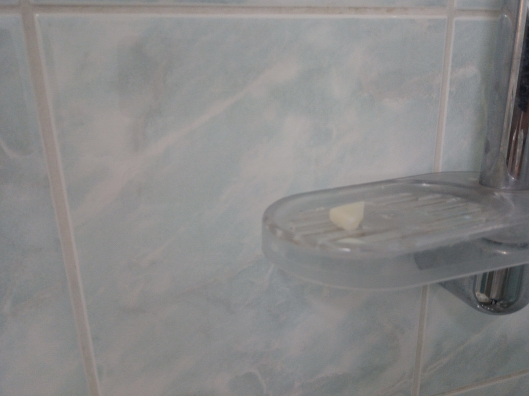Chalet Hotel Engilberge主图