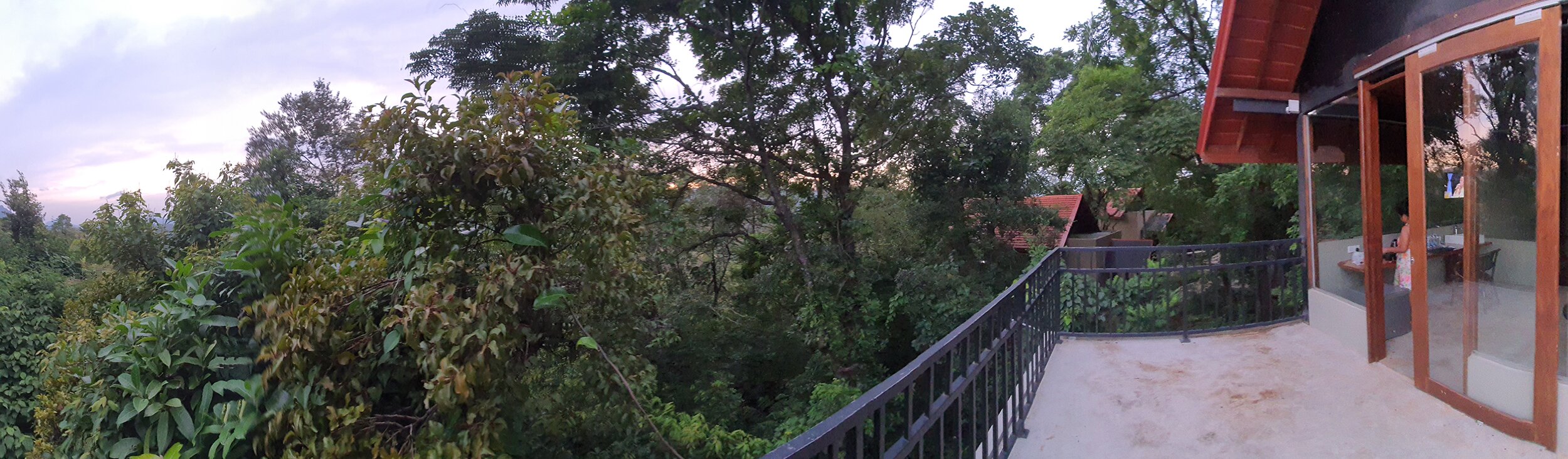 Arangala Forest Lodge-酒店景观