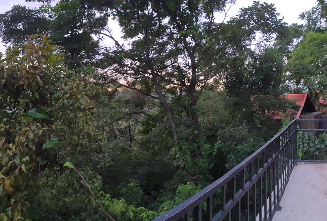 Arangala Forest Lodge主图