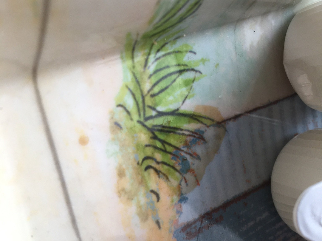 Prince of Wales Inn主图