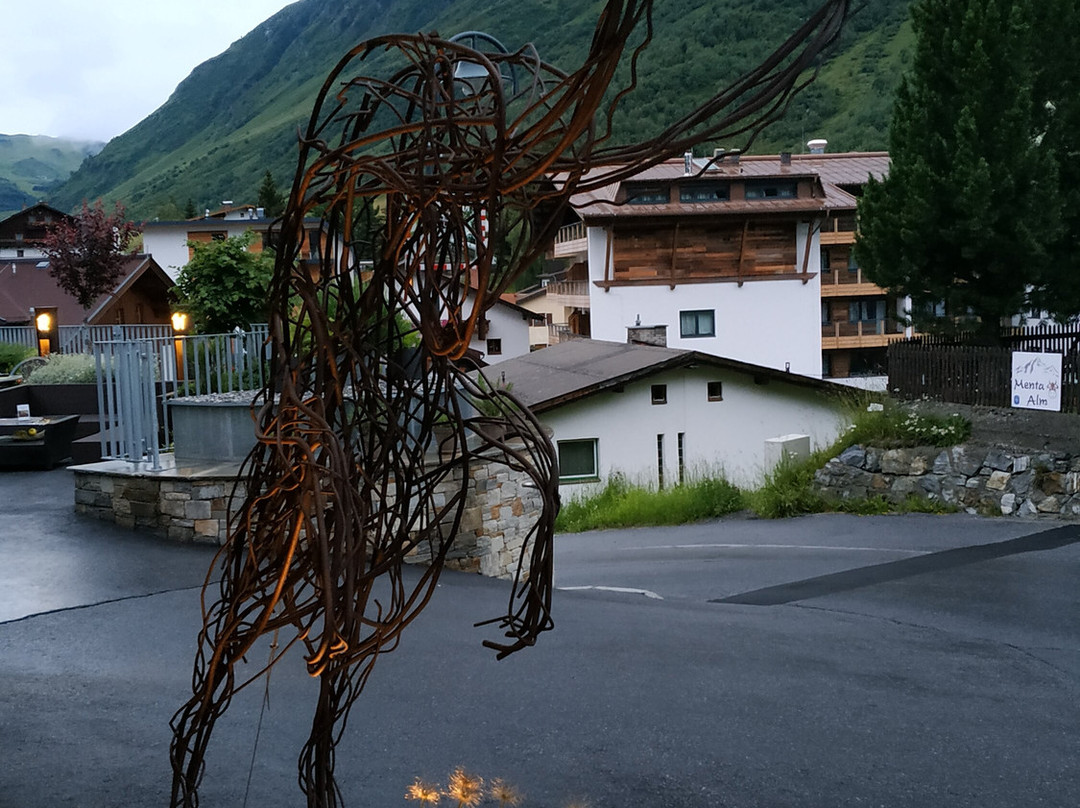 Alpinhotel Monte ***superior主图