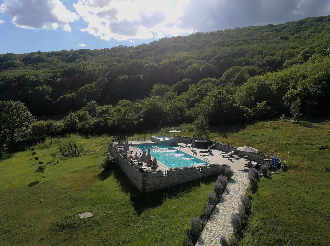 Babaneuris Marani主图