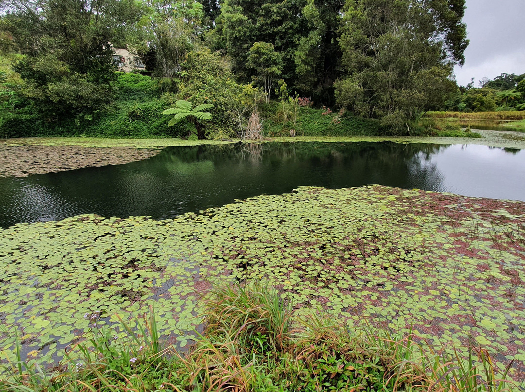The Australian Platypus Park at Tarzali Lakes景点图片