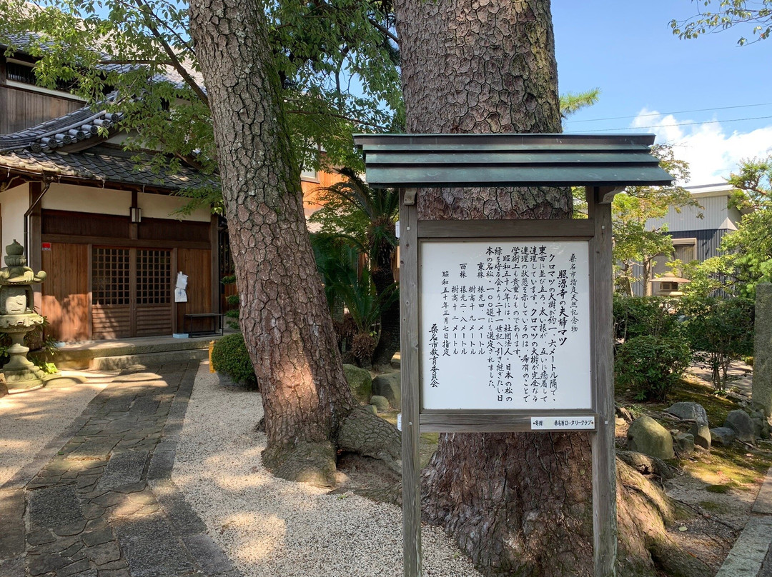 Shogenji Temple-桑名市必去景点