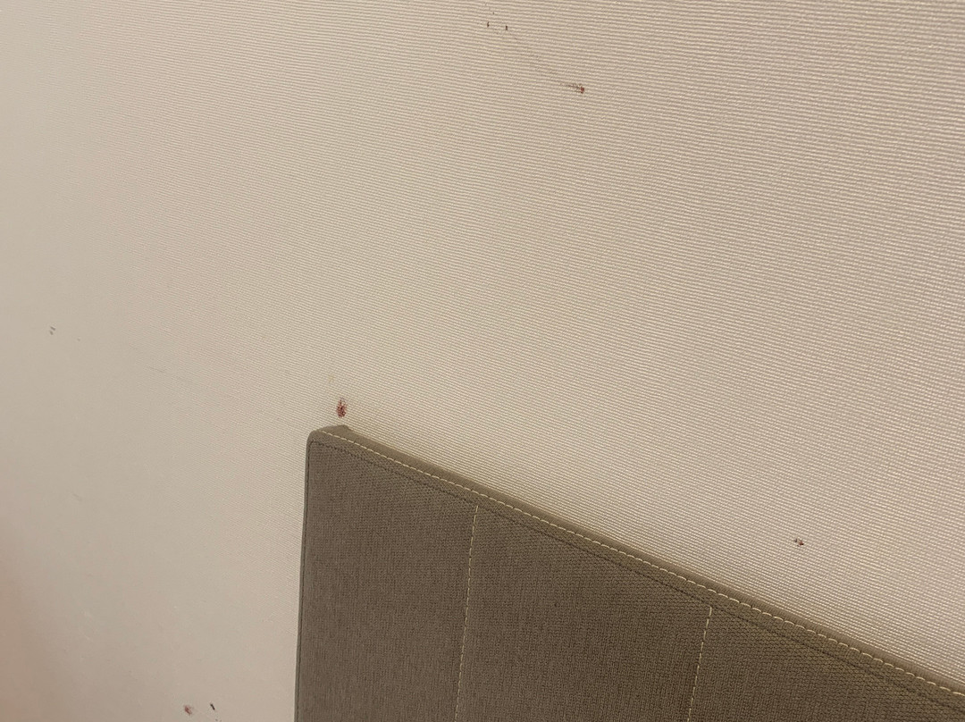 Hotel Klub Sosnowy主图