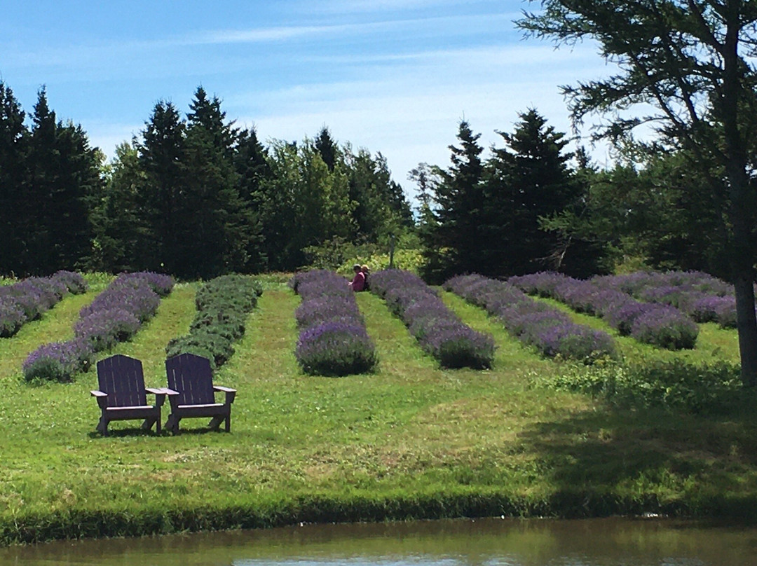 Seafoam Lavender Company and Gardens-Seafoam必去景点