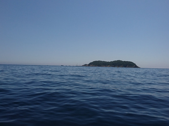 Canoe Kayak Raids La Ciotat-拉西奥塔必去景点