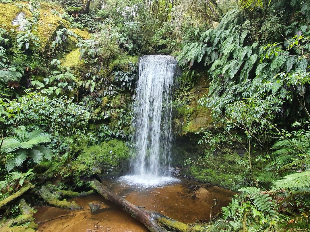 Koropuku Falls景点图片