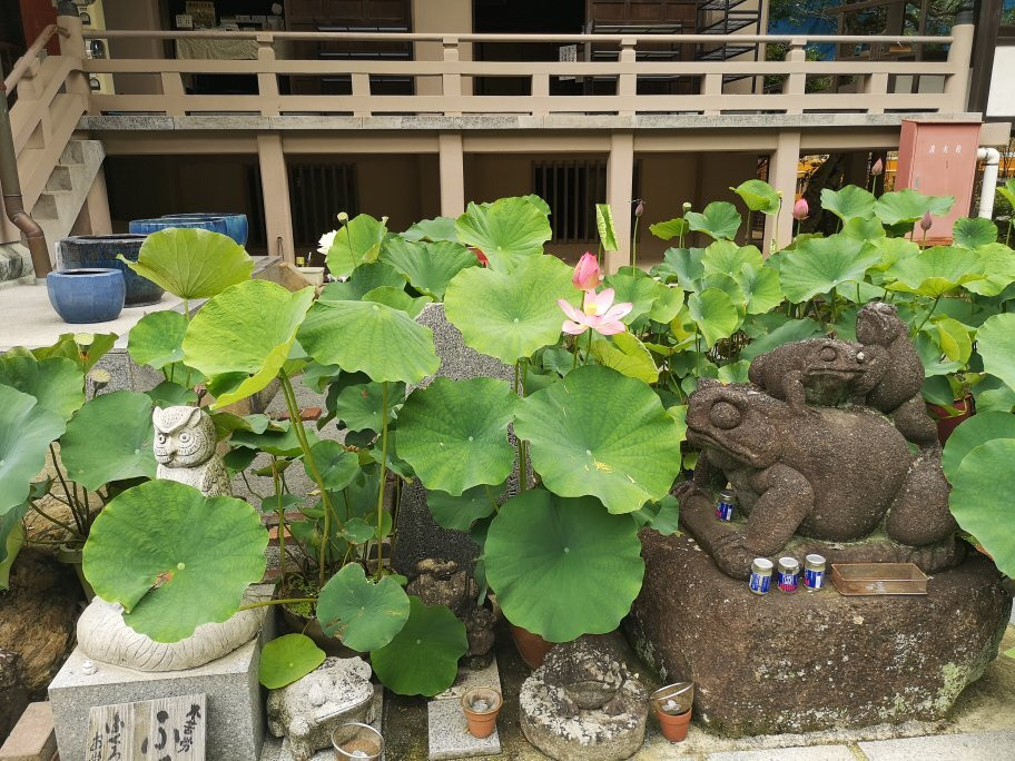 Chinkokuji Temple-宗像市必去景点