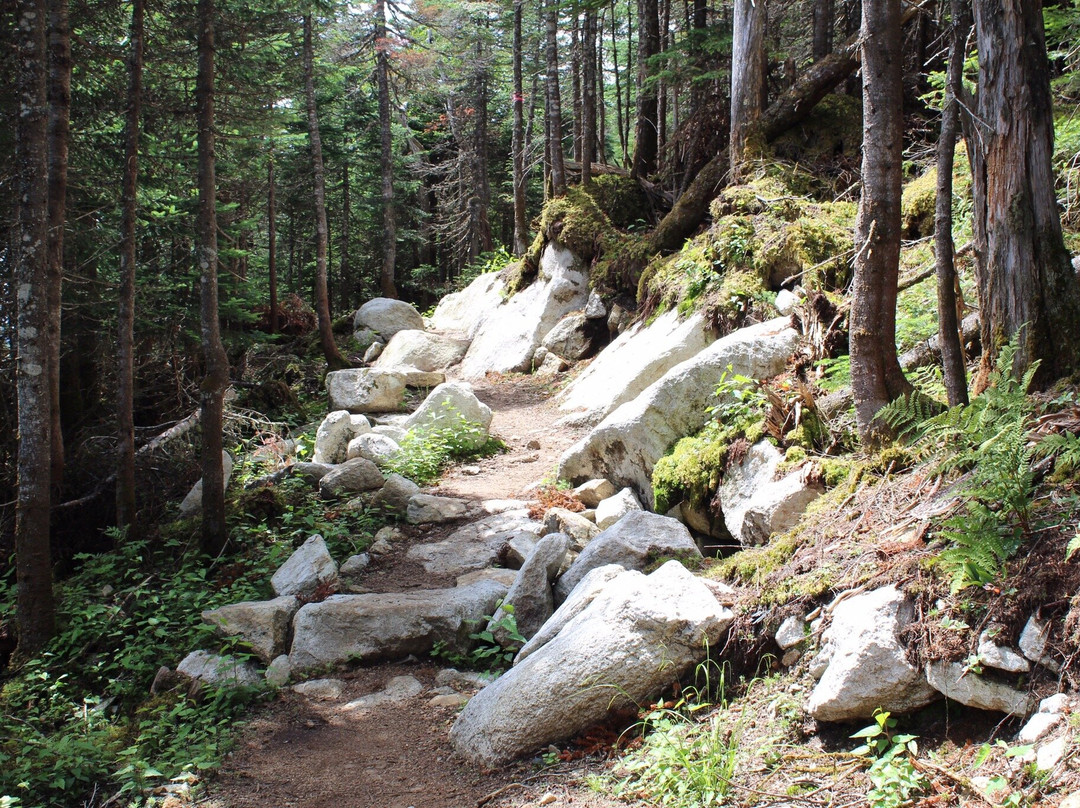 ASTROLab du parc national du Mont-Megantic-Notre Dame des Bois必去景点