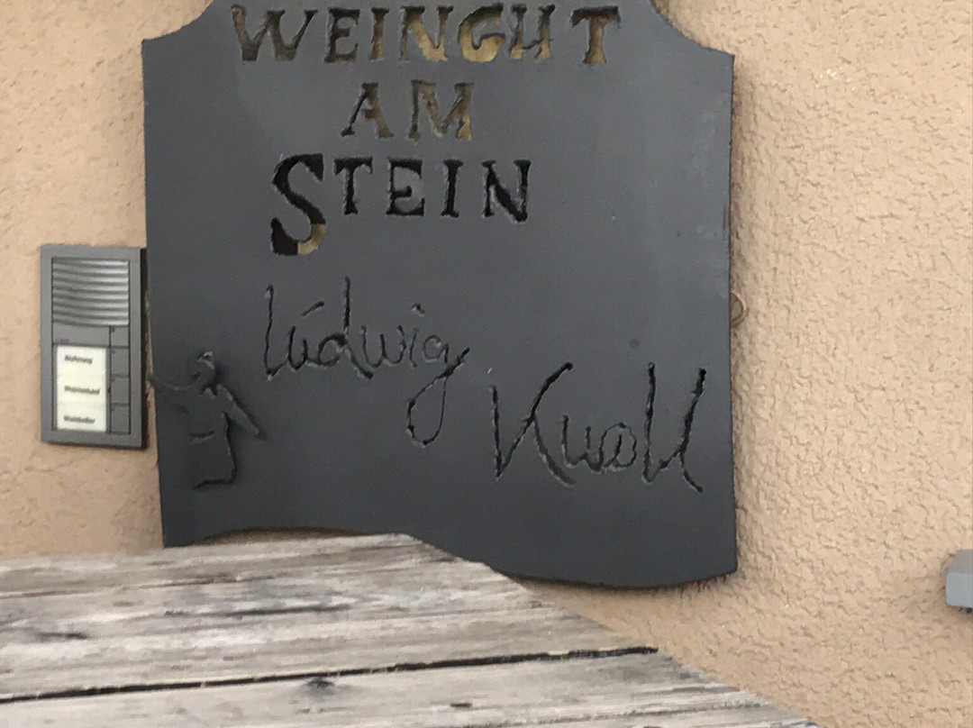 Weingut am Stein, Ludwig Knoll景点图片