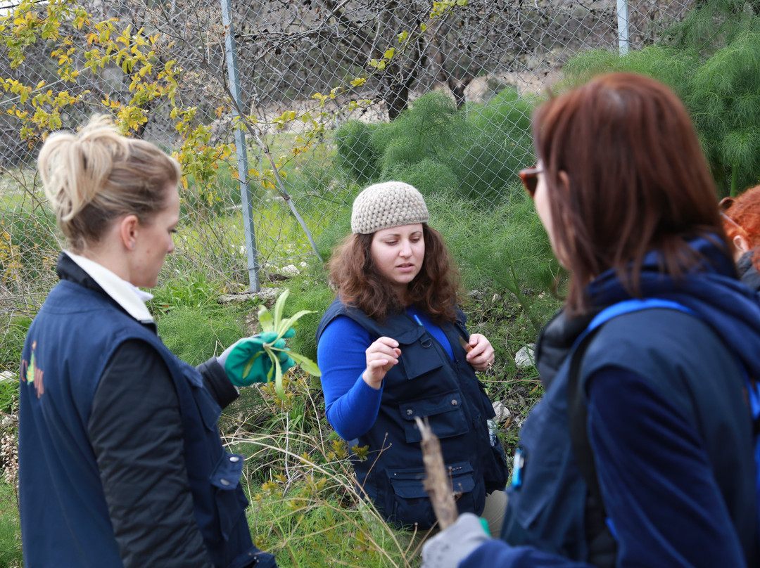 Ecophysis-Vavla必去景点