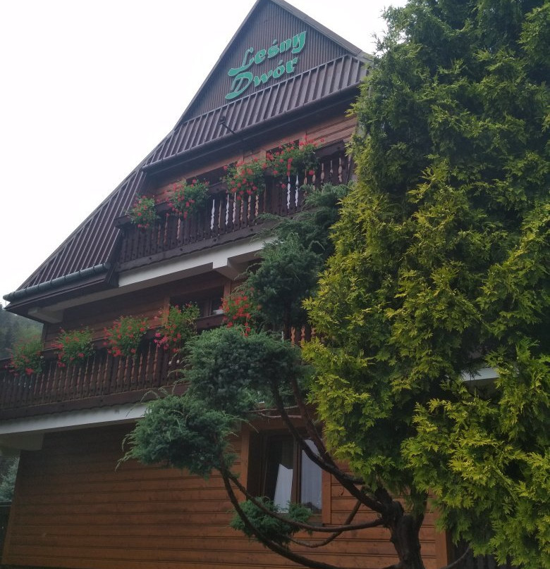 Lesny Dwor Rezydencja主图
