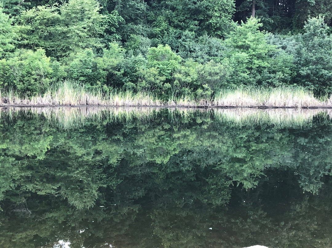 Chesterfield Central Park-切斯特菲尔德必去景点