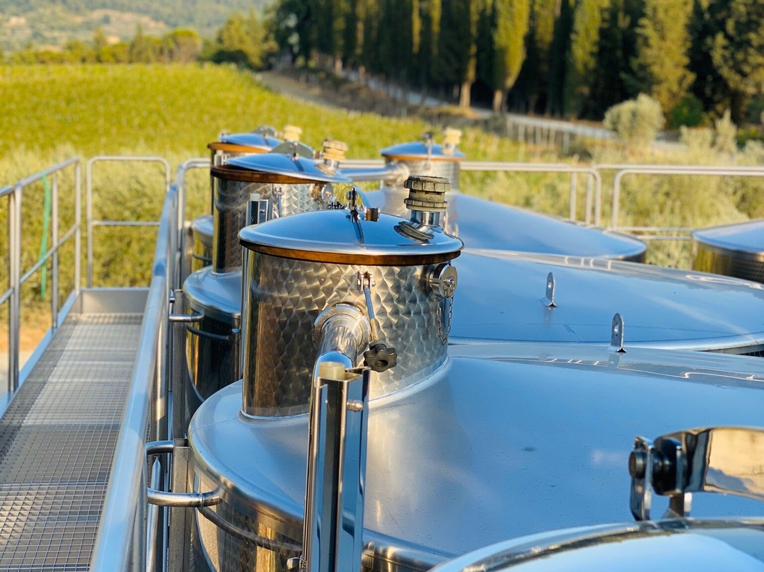 Agriturismo Poggio ai Mandorli主图