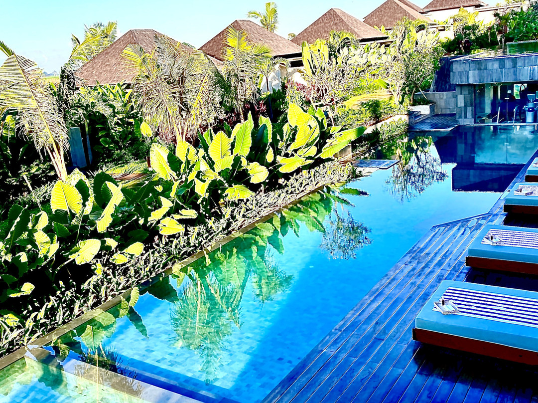 The Garcia Ubud主图