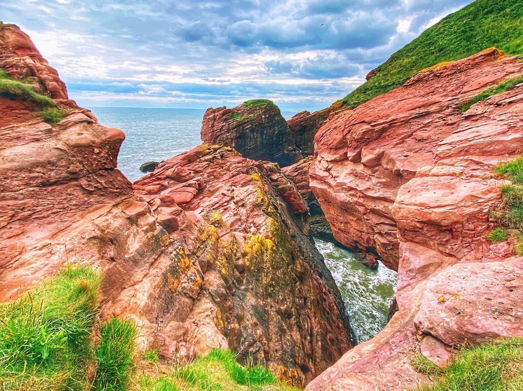 Arbroath Cliffs-Arbroath必去景点