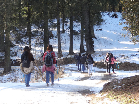 Trekatribe-西姆拉必去景点
