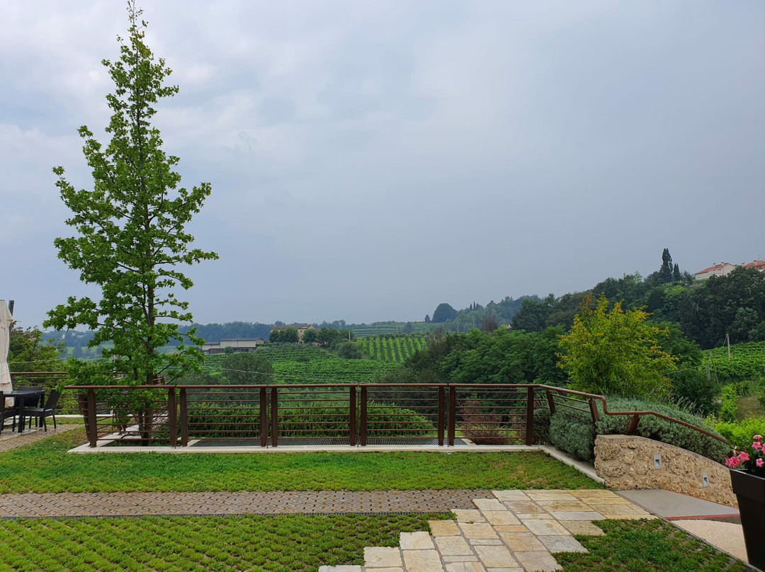 Tenuta Sant'Eufemia主图