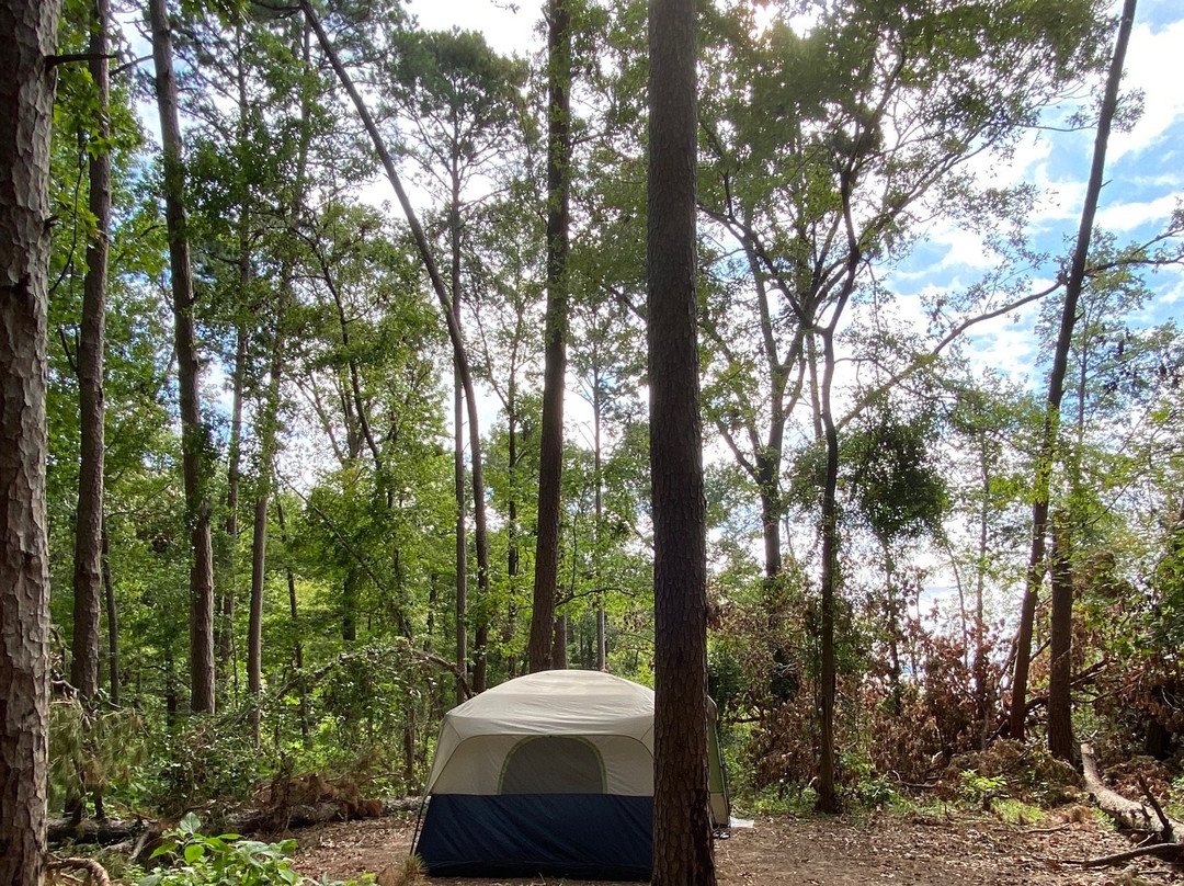 Lake Bob Sandlin State Park-Pittsburg必去景点