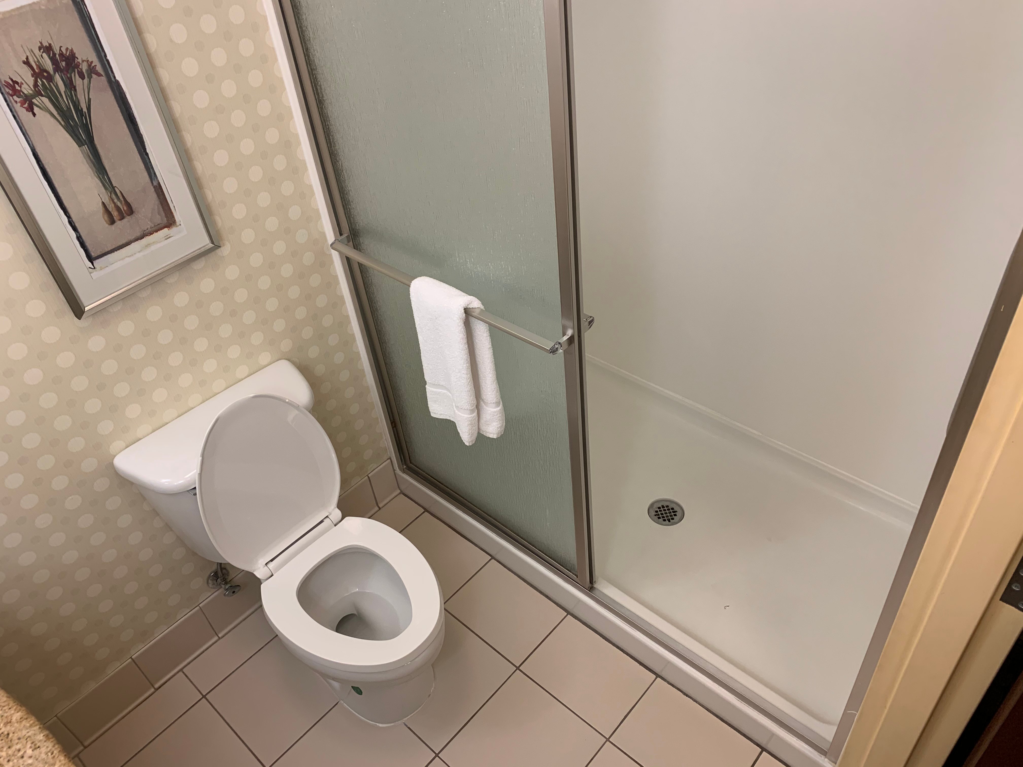 克拉克斯堡希尔顿花园酒店-浴室