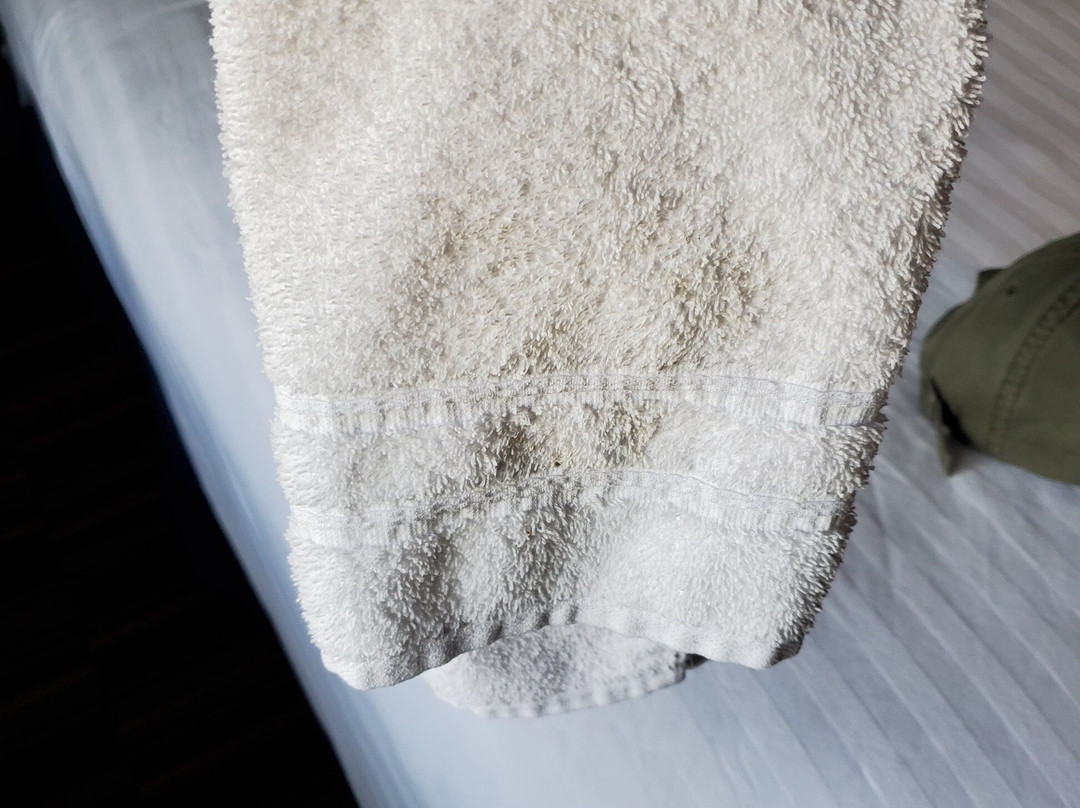 Microtel Inn & Suites by Wyndham Bath主图