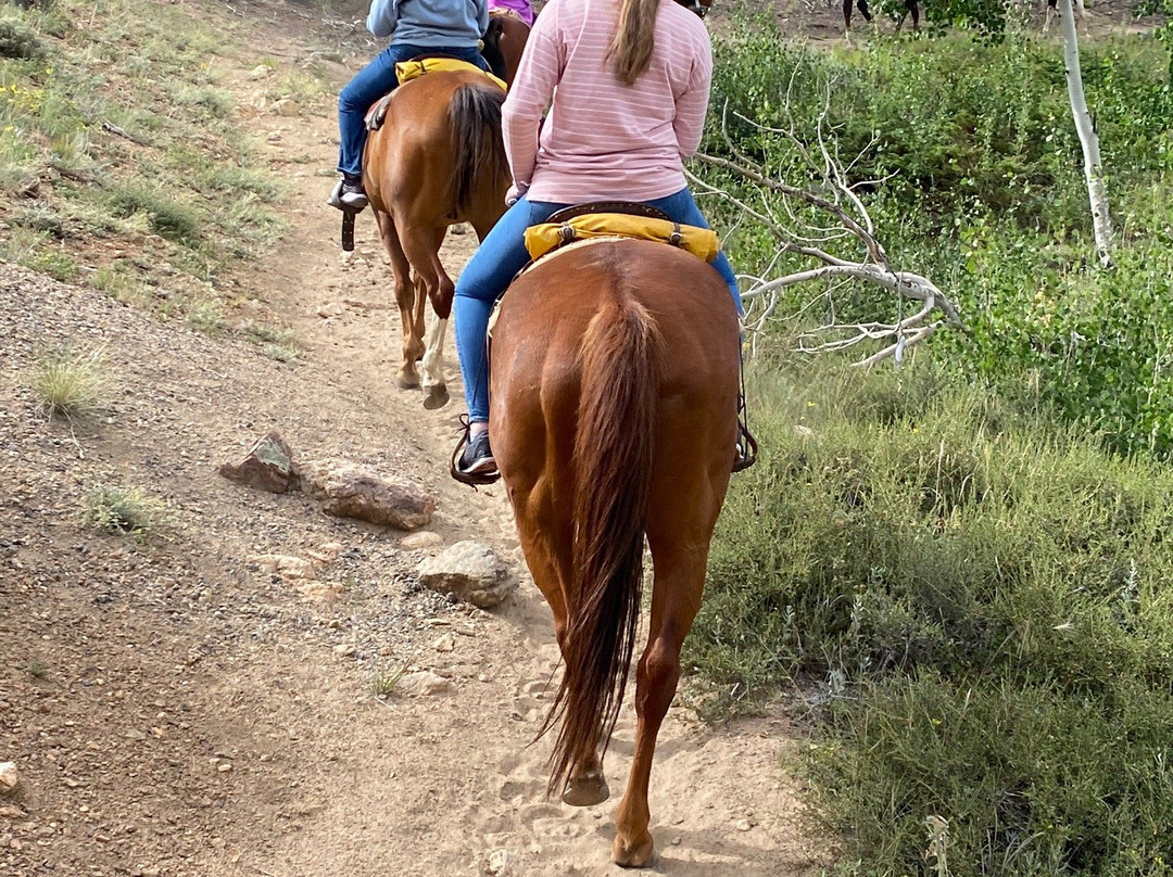 Jackson Stables-埃斯蒂斯公园必去景点
