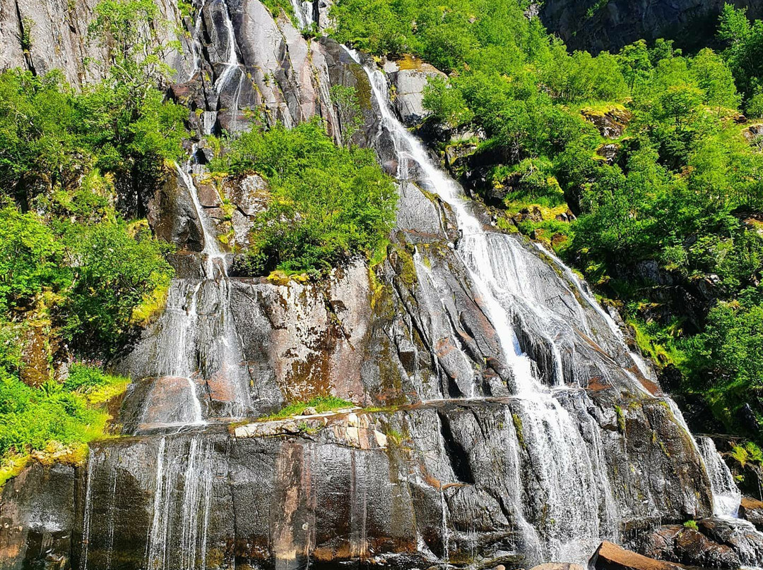 RIB-Lofoten-斯沃尔韦尔必去景点