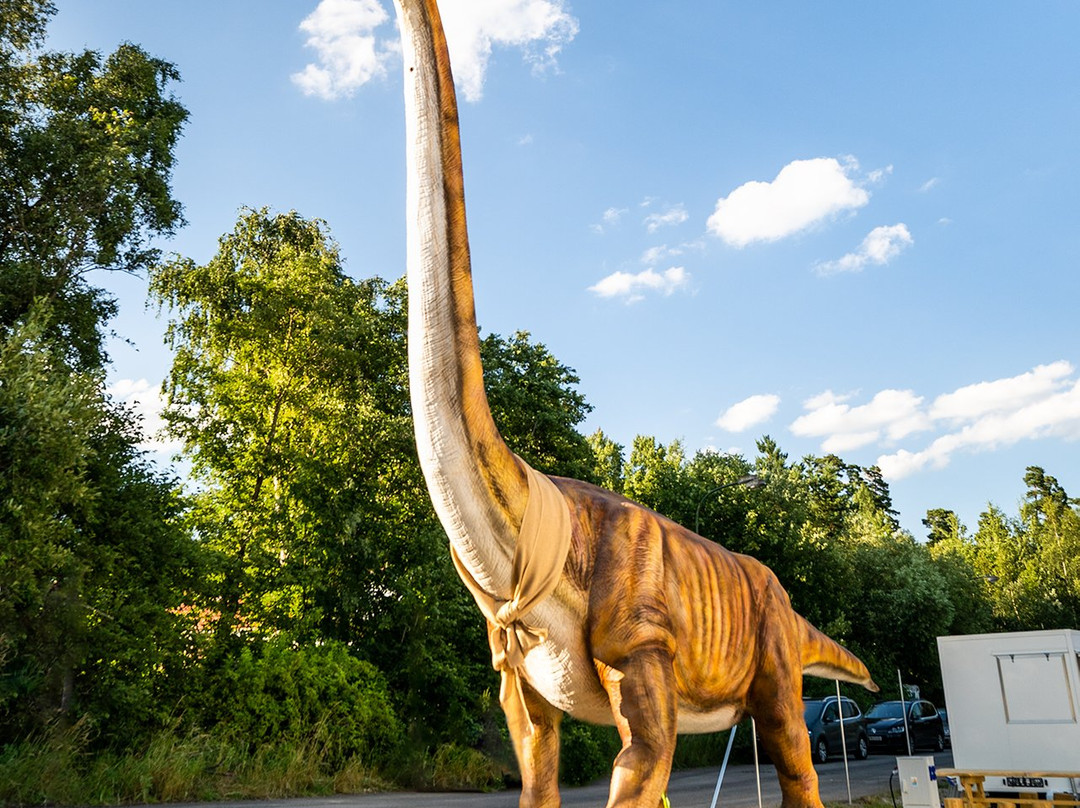 Dinopark Tatry景点图片