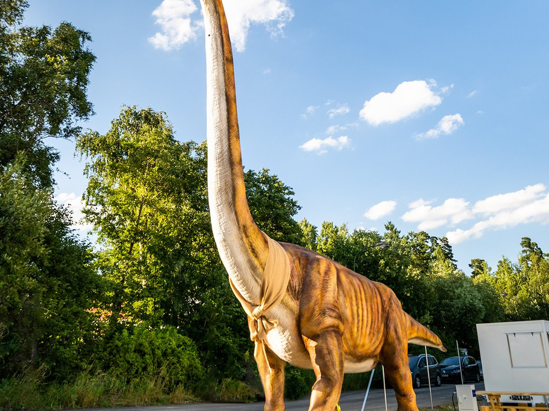 Dinopark Tatry