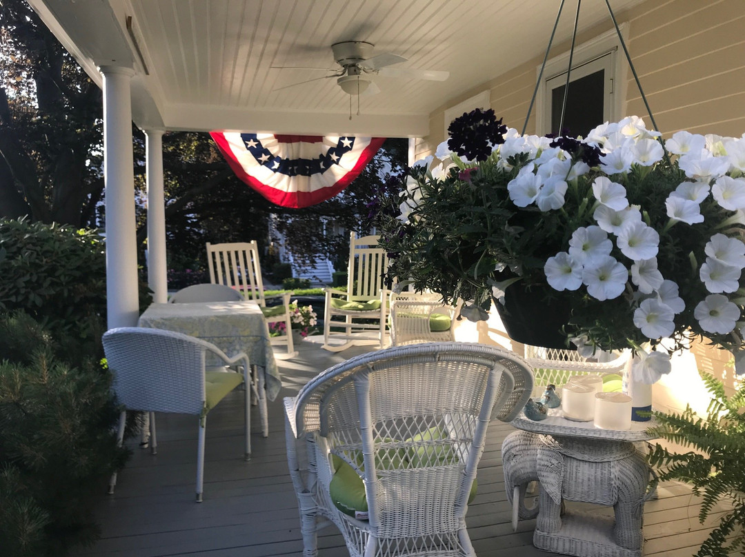 Beech Tree B&b