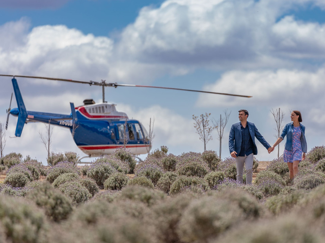 Bekaa Air-布里斯班必去景点