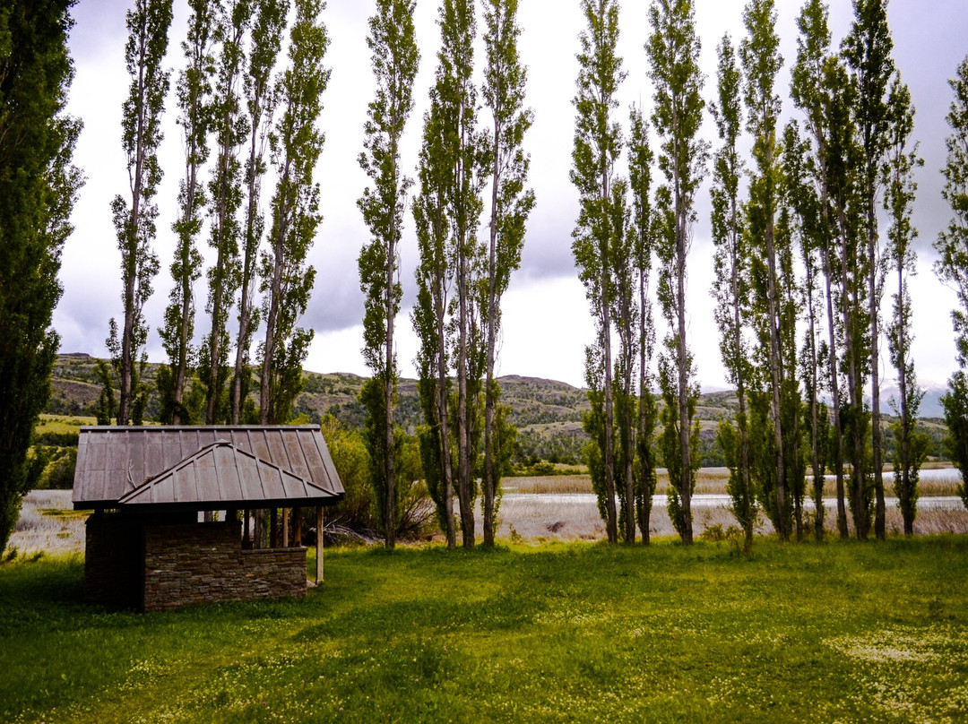 Patagonia National Park景点图片