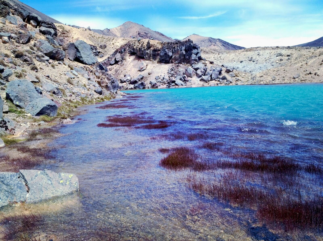 Tenerife snorkelling and kayaking-特内里费岛必去景点