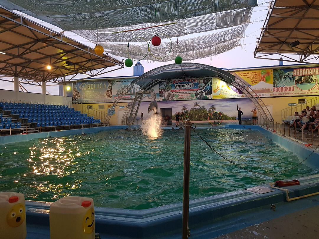 Azov Dolphinarium Nemo景点图片