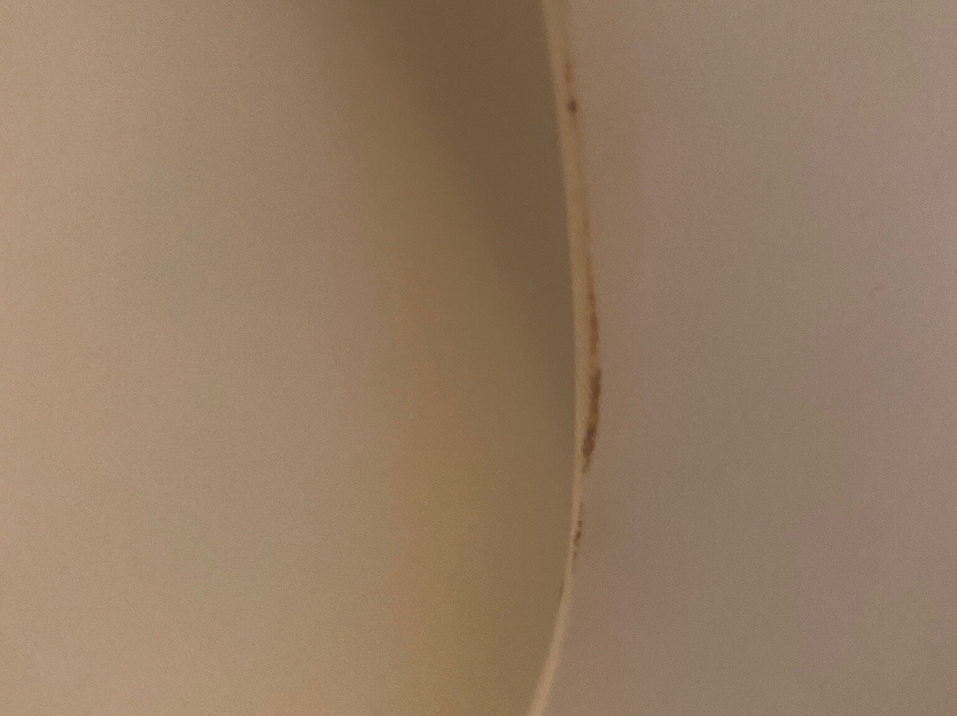 The Cara Guesthouse主图