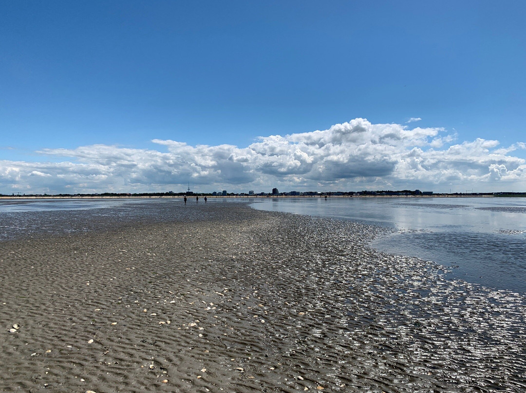 Gönn dir Watt-库克斯港县必去景点