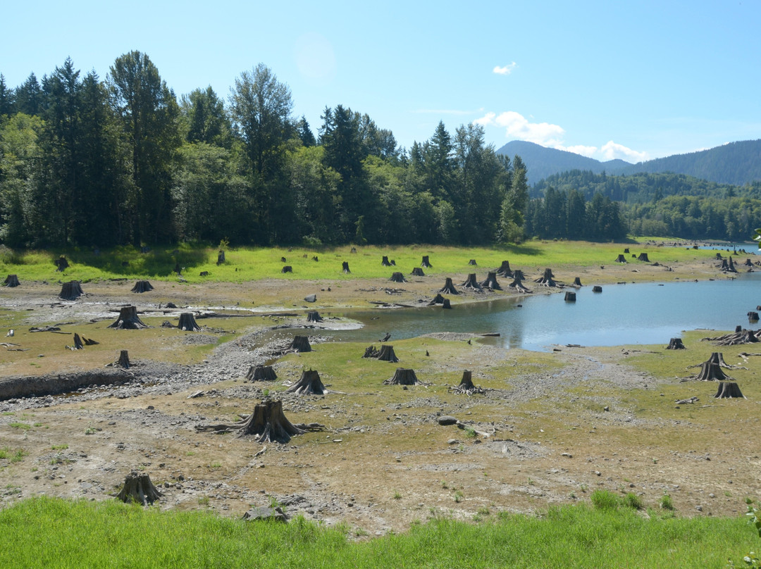 Alder Lake Park景点图片