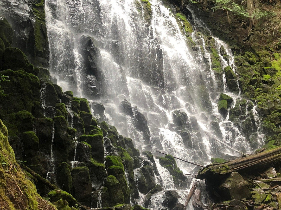 Ramona Falls Trail-Rhododendron必去景点