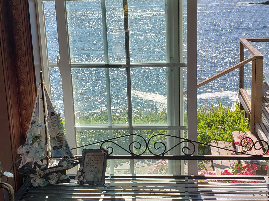 An Ocean Paradise Whales Rendezvous主图